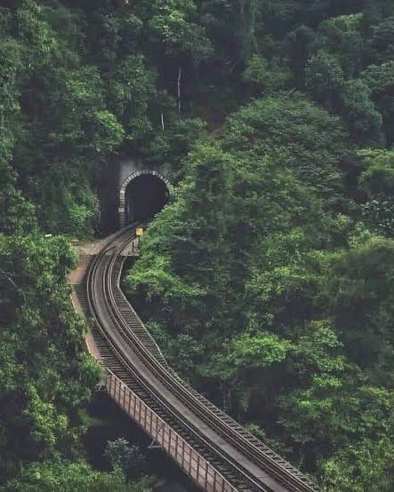 Sakleshpur railway bridge trail through the green route